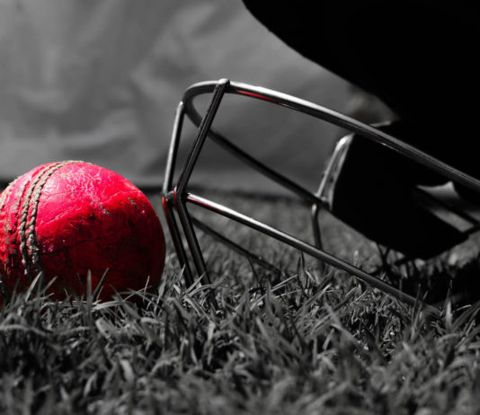 From Cricket Fields to Corporate Heights: The Inspiring Journey of Saurabh Netravalkar